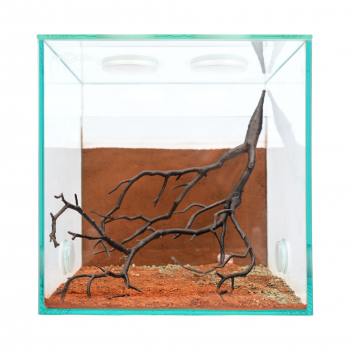 Preview: Decorative desert bush 30x15cm - dark brown